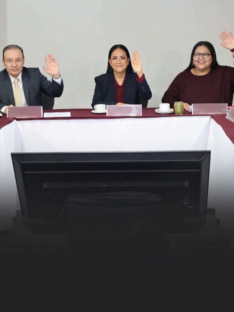 &iexcl;Proceso Interno! Emitir&aacute; Morena Convocatorias para Coordinaciones Distritales y Municipales