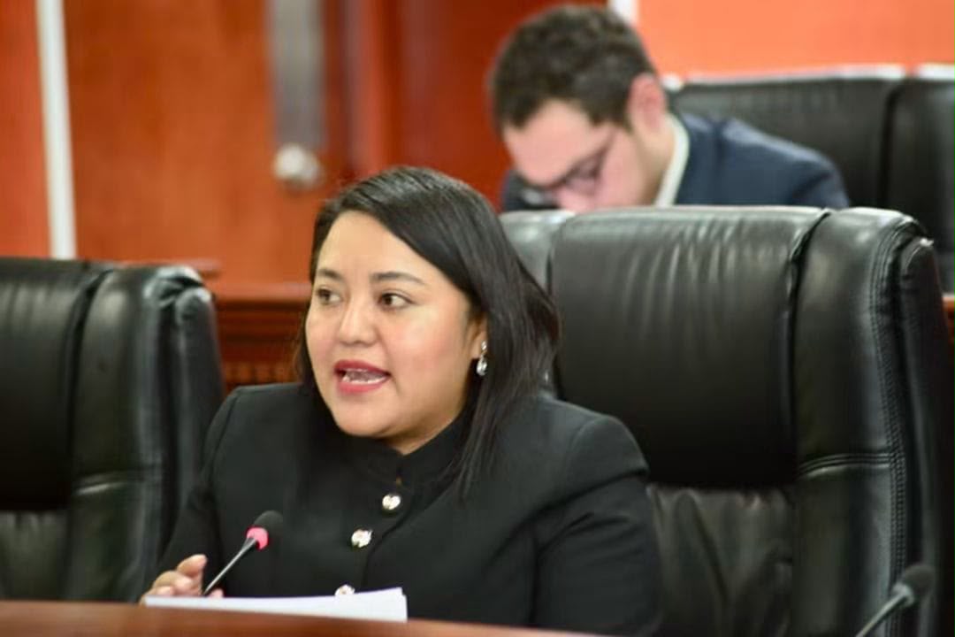 &iexcl;Cero tolerancia a la intimidaci&oacute;n vial! Propone diputada Evelyn S&aacute;nchez castigar con penalidad agravada a 