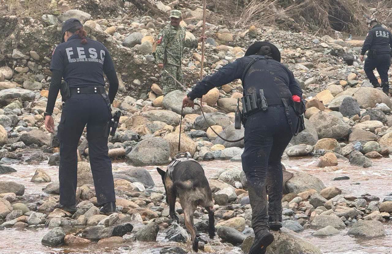 &iexcl;Vocaci&oacute;n y servicio! Reconoce la SSCBC la labor humanitaria de Polic&iacute;as y K9 tras el paso de 'Rachel' en Ensenada